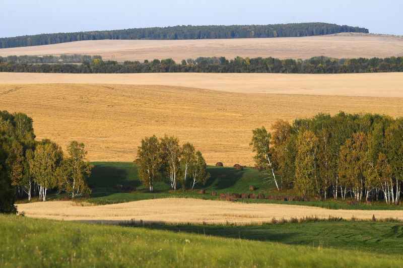 Абсолютная свобода